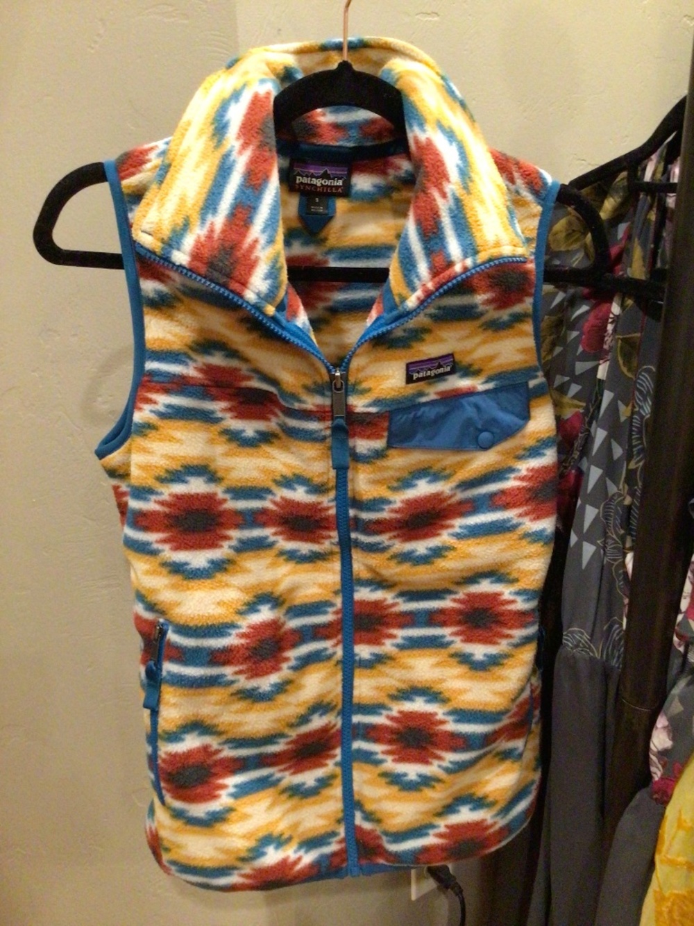 Patagonia vest